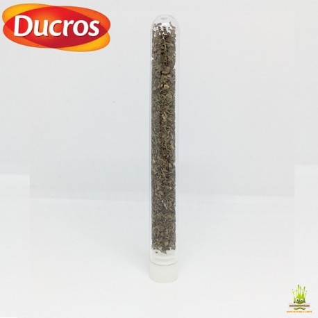 Tube de Basilic Ducros 1gr.