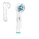 Etui de Protection pour Brossette à dents transparent