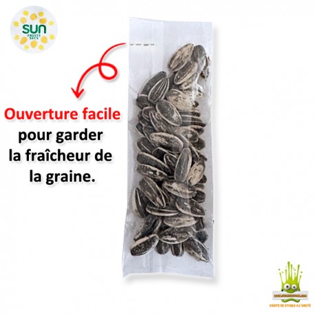 GRAINES DE TOURNESOL GRILEES SALEES