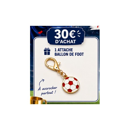 1 attache ballon OFFERT