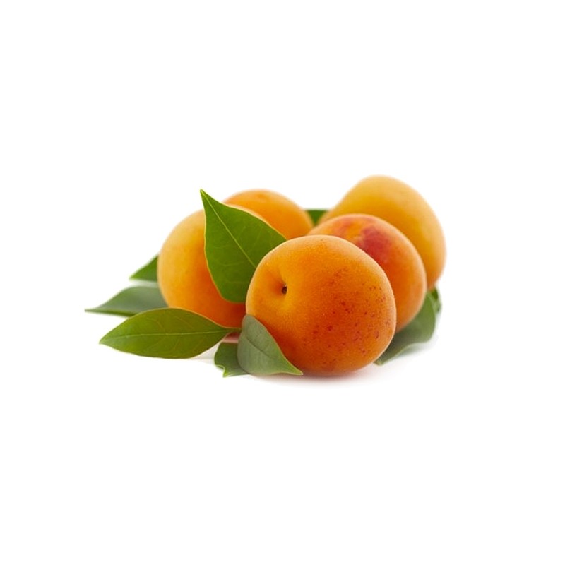 Mini Pots Confiture Abricot